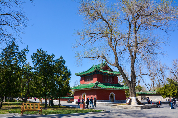 东城区
