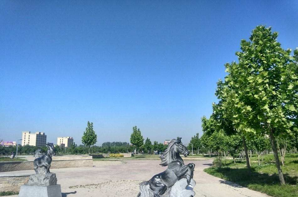 扶沟县人民公园