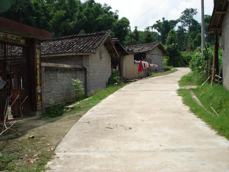 村内道路