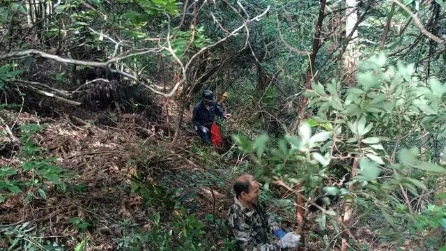 粘贴图片18-1693621965373.png
