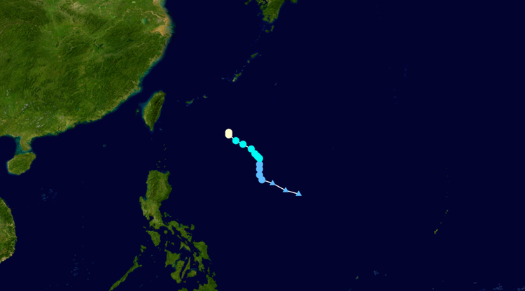 台风浣熊