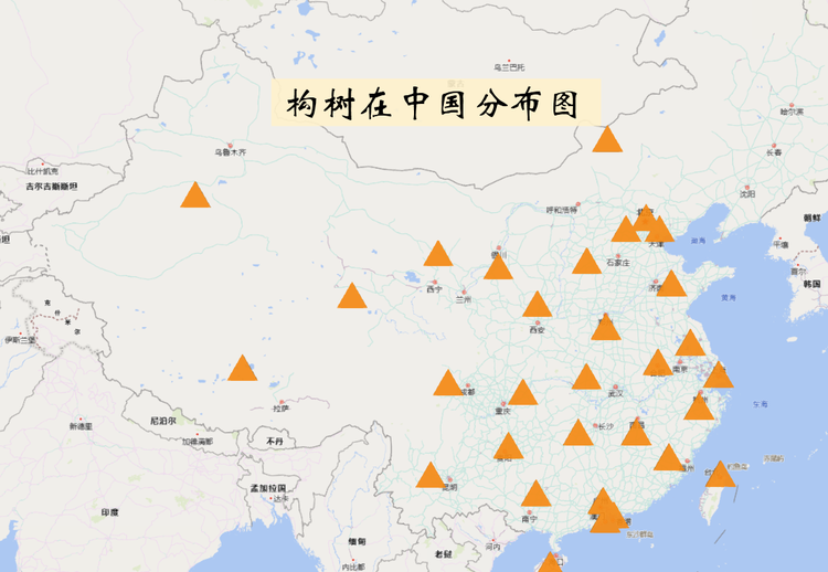 构树