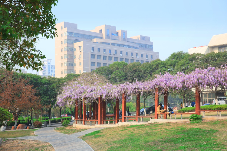 淮北师范大学