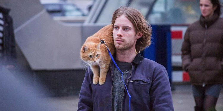 猫剧照