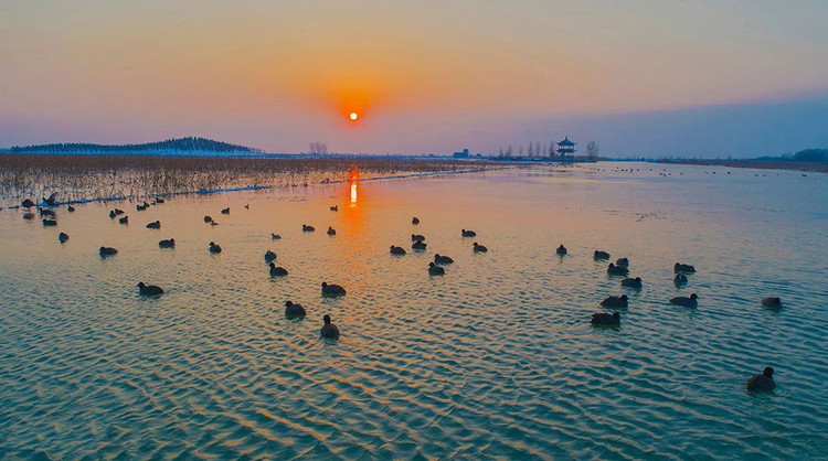 洪泽湖湿地公园.jpeg