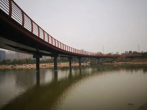 洪河公园.png