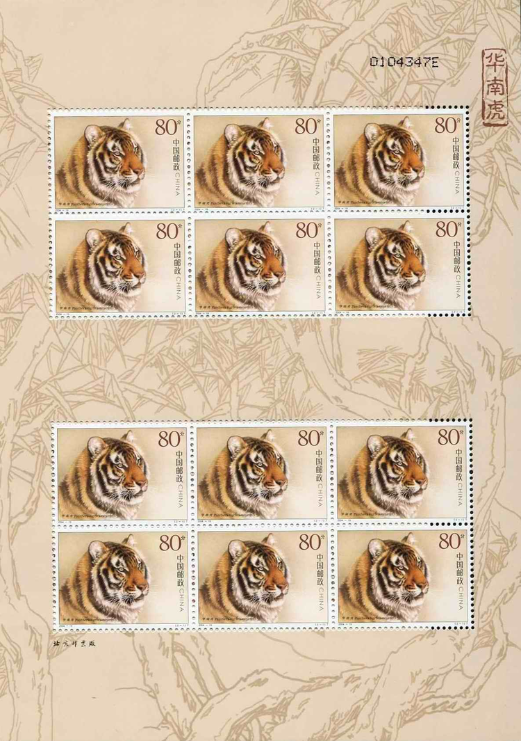 华南虎