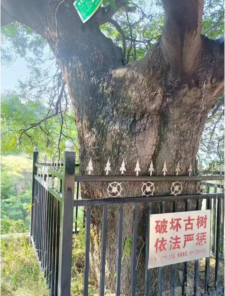 泾阳县
