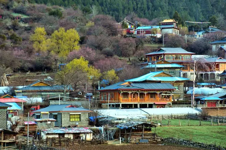 西藏自治区