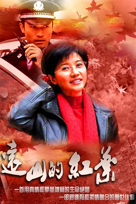 许云帆