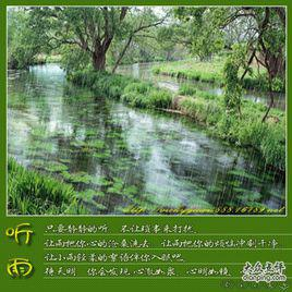 听雨