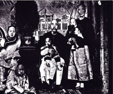 杨增新