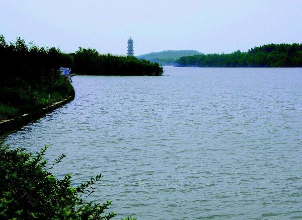 惠阳区