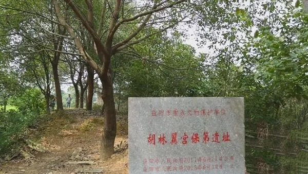 胡林翼