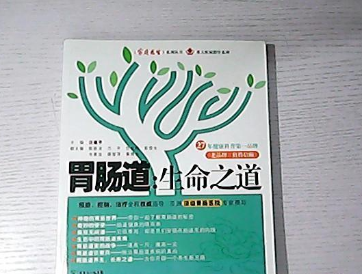 胃肠道