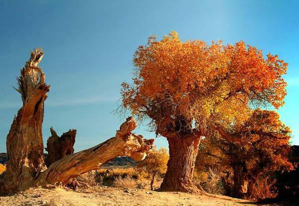 木垒哈萨克自治县