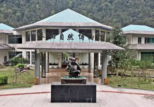 莽山