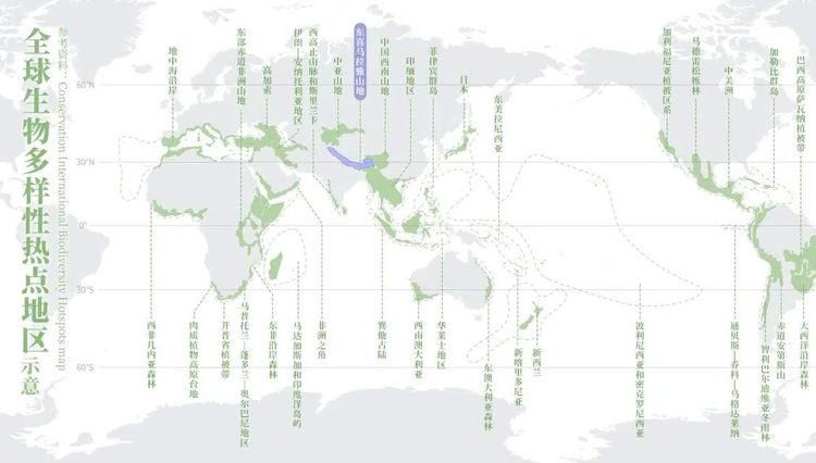 全球生物多样性热点地区.jpeg