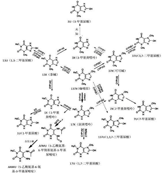 c57b51c6-58bf-4af4-9c91-3d8e15f874be (1).png
