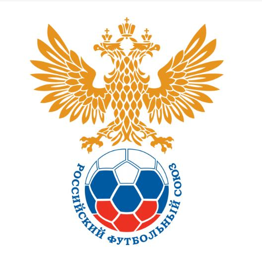俄罗斯国家男子足球队
