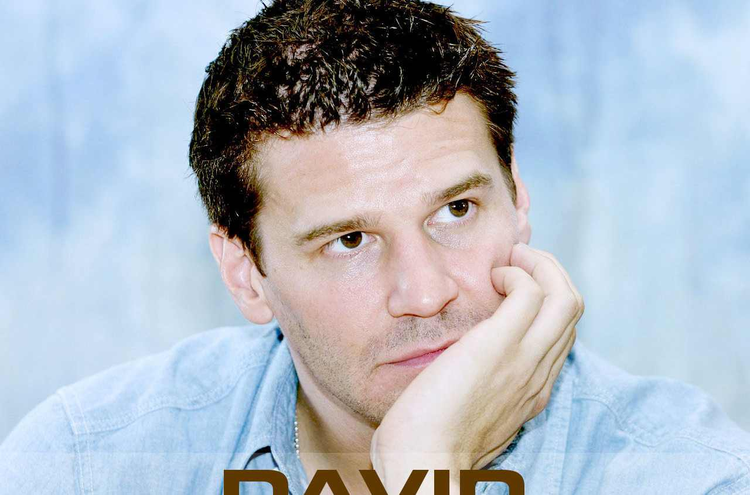 威廉·斯坦福德·戴维斯