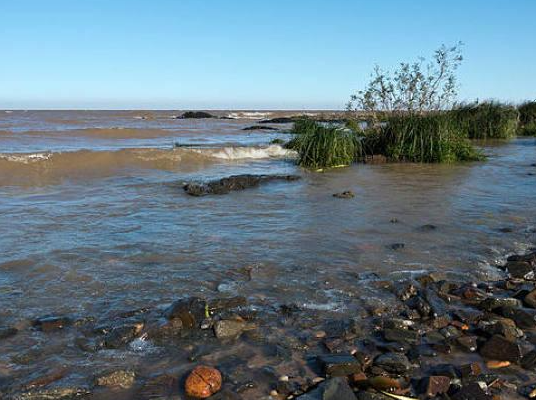 拉普拉塔河－巴拉那河