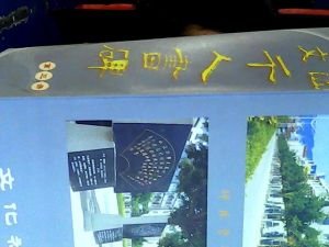 陈农
