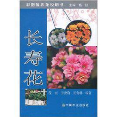 长寿花
