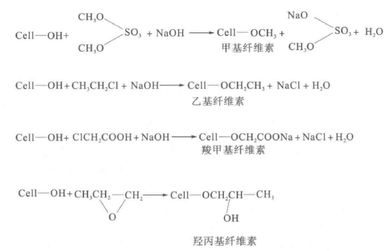 纤维素