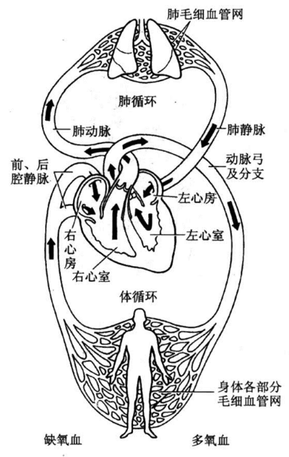 粘贴图片1-1694527046969.png