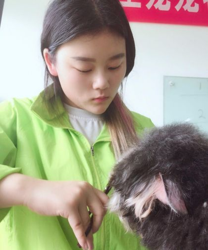 圣宠宠物美容学校