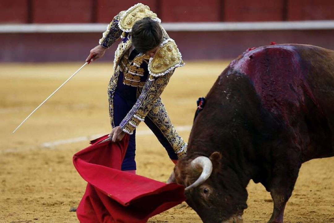 西班牙斗牛