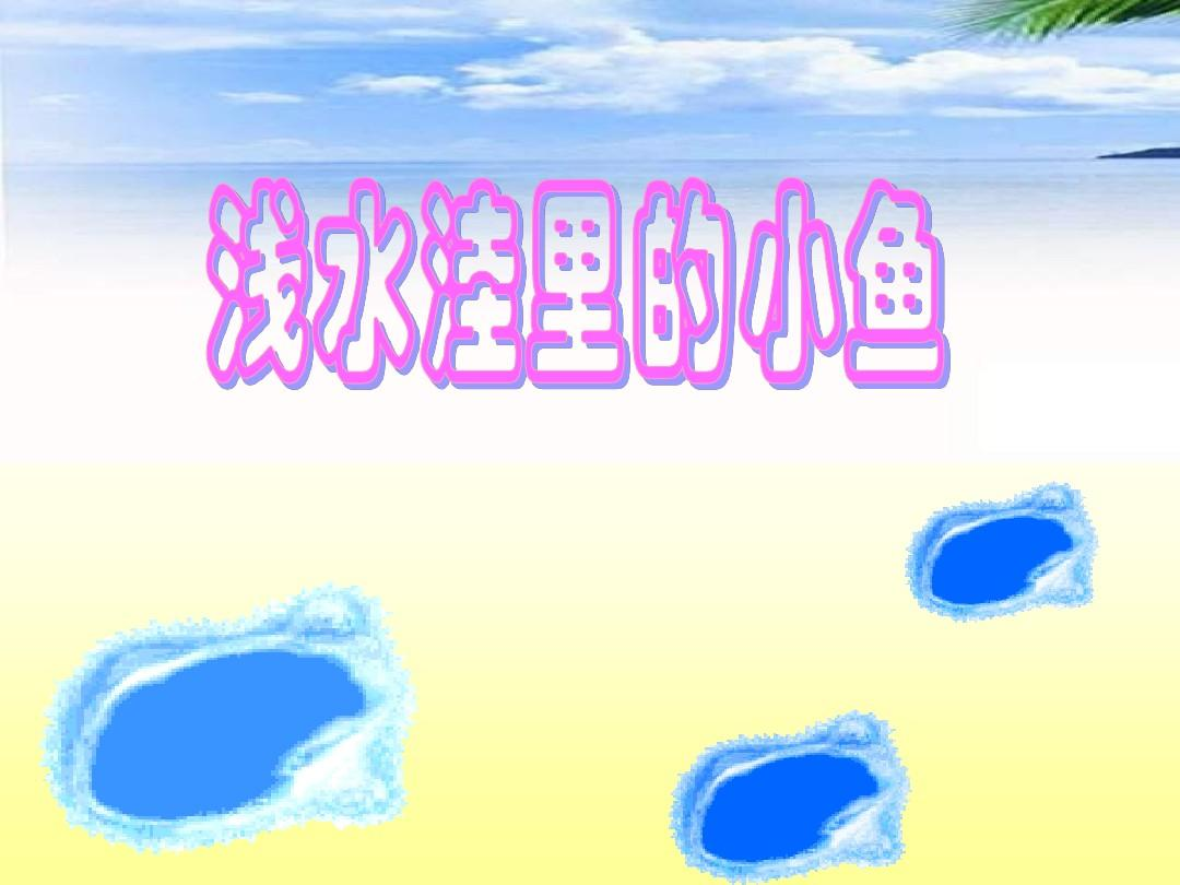 浅水洼里的小鱼