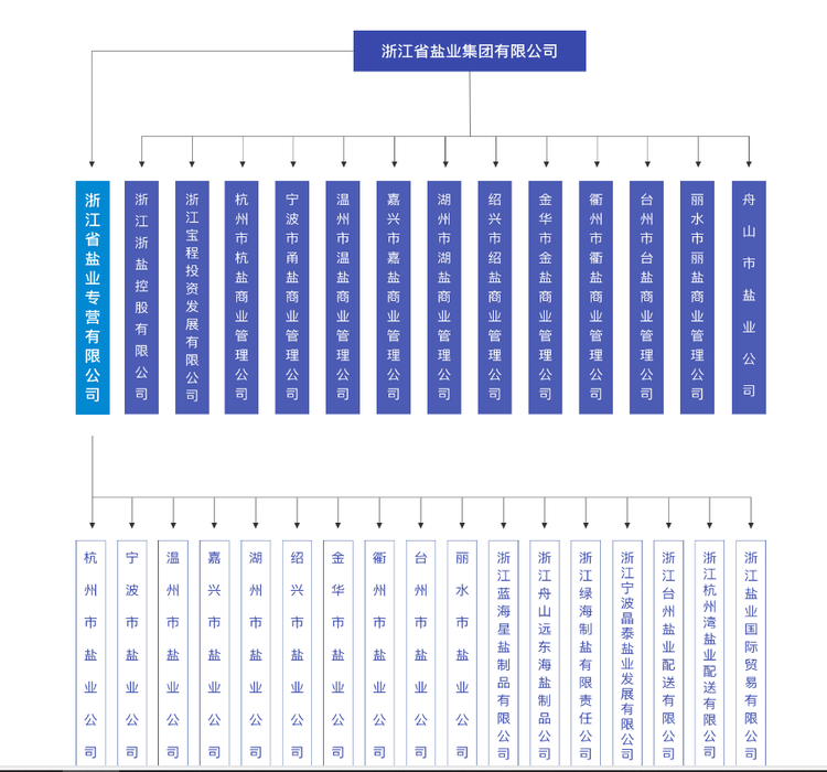 浙江省盐业集团有限公司