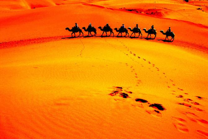 QQ空间创意摄影大赛