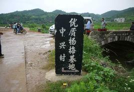中心村