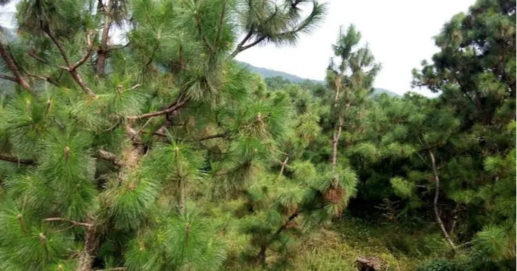 螢幕截圖 2023-10-21 16.08.png