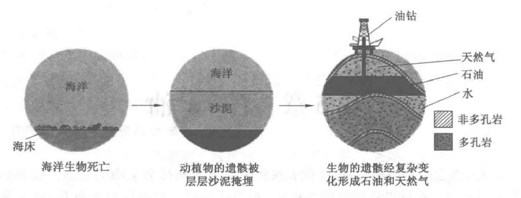 石油的形成.png