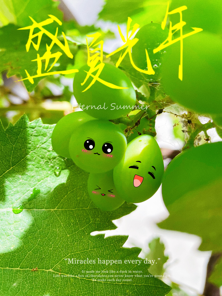 夏日葡萄.jpeg