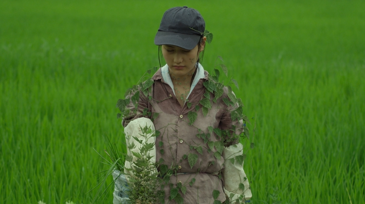 小森林