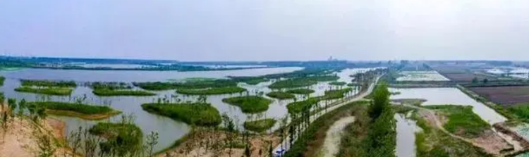 江苏沛县安国湖国家湿地公园