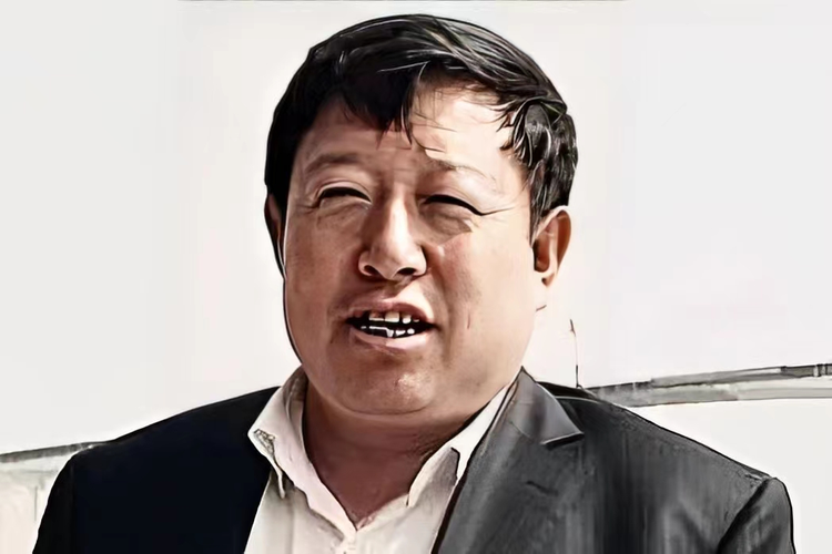 高乃则