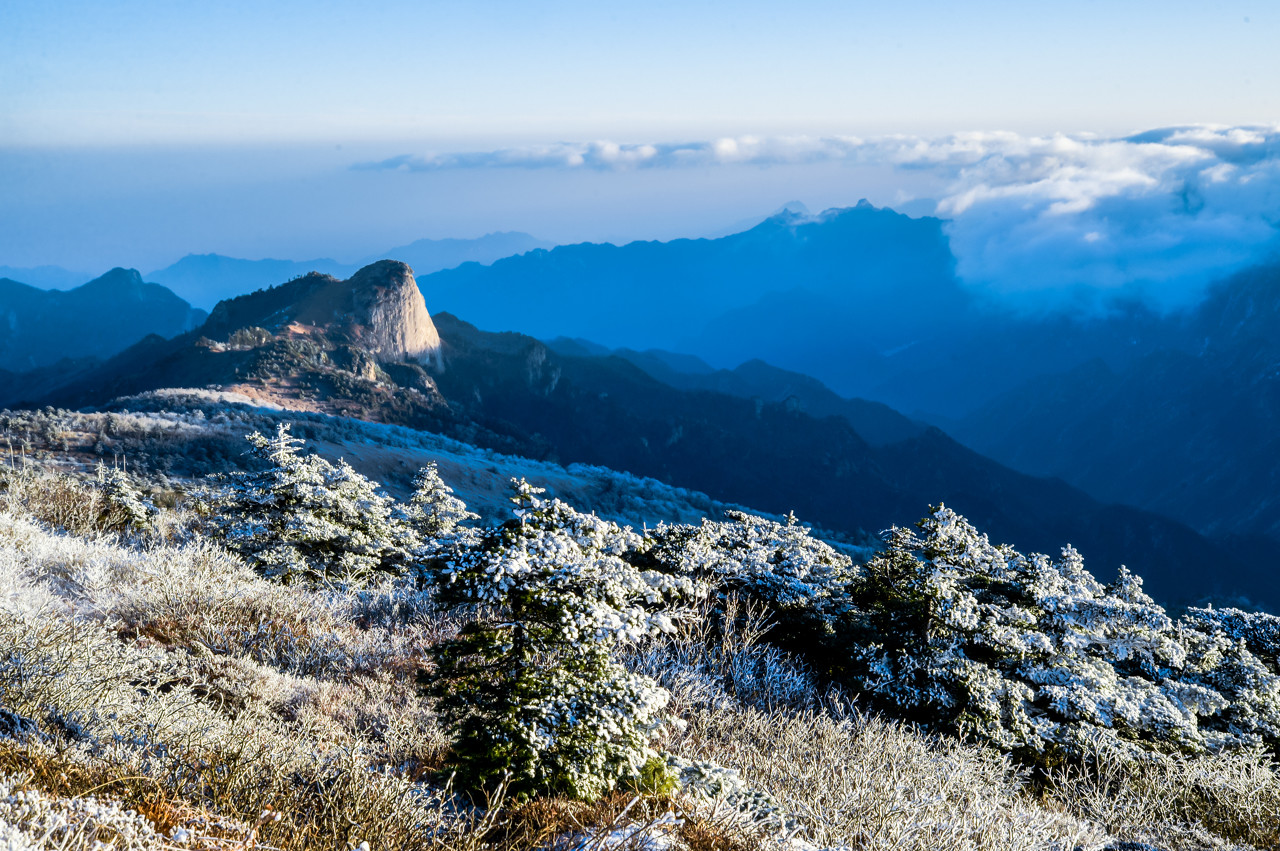 秦岭
