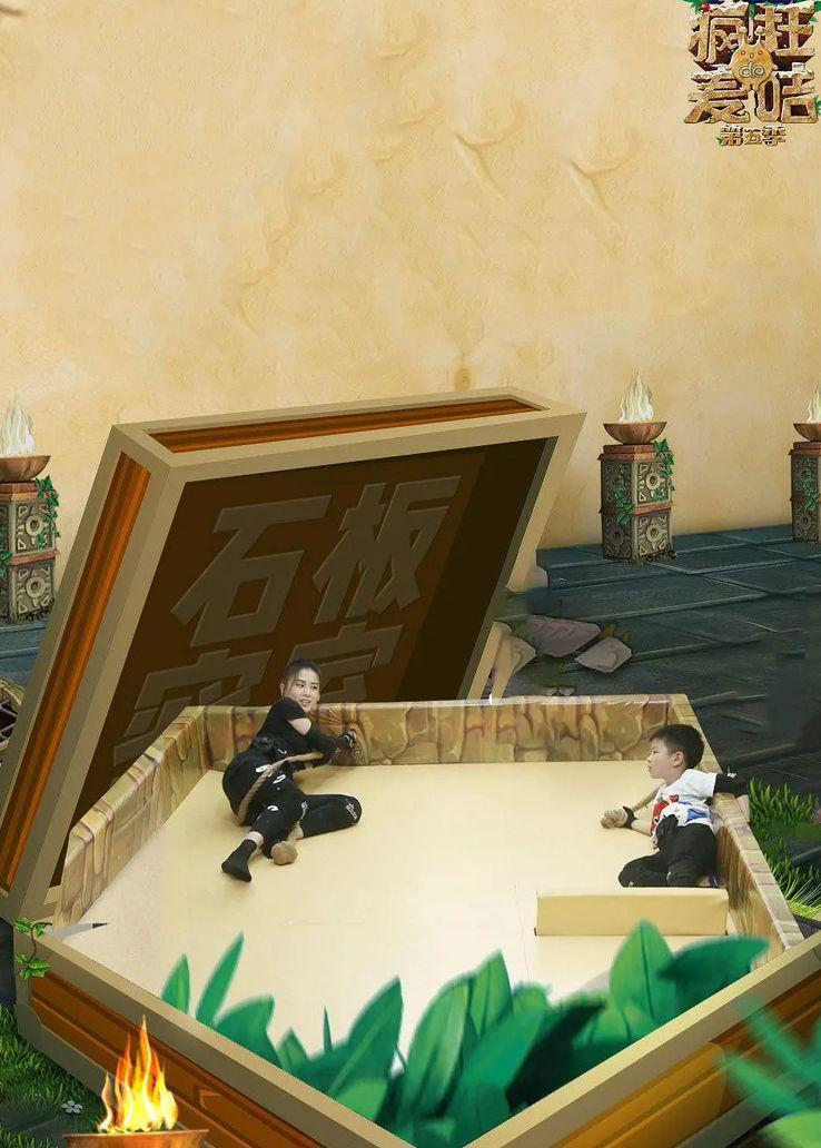 疯狂的麦咭第五季