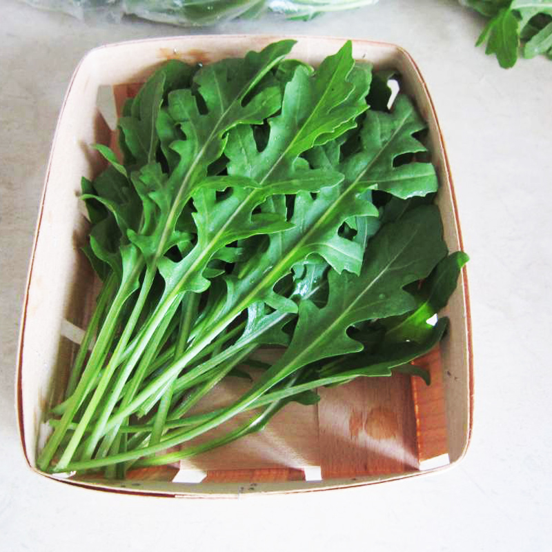 意大利芝麻菜