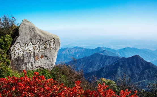 粘贴图片24-1693621965373.png