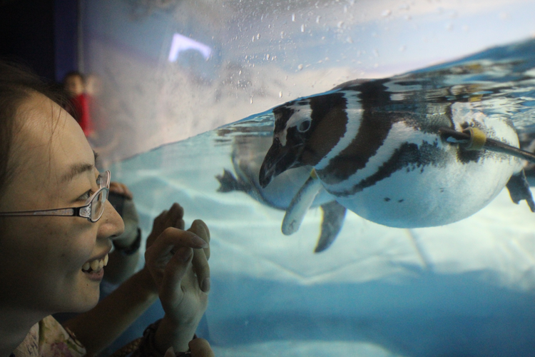 上海海洋水族馆