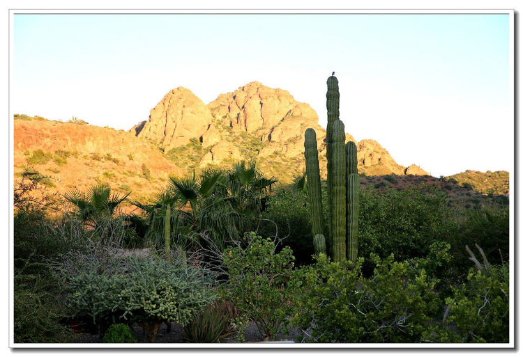 南下加利福尼亚