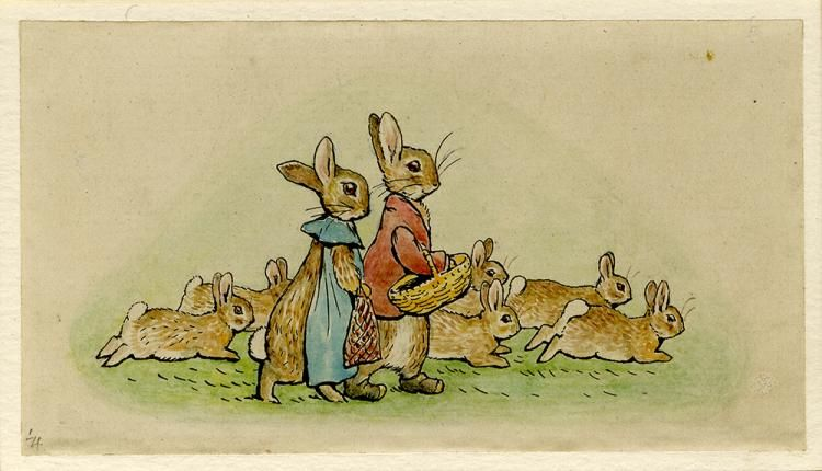 《The Tale of The Flopsy Bunnies》.jpeg
