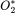 O_{2}^{*}